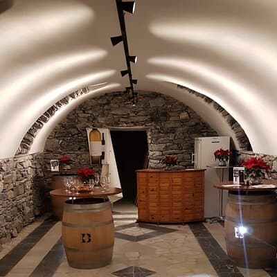 Activity in private minibus, wine tasting in Valais