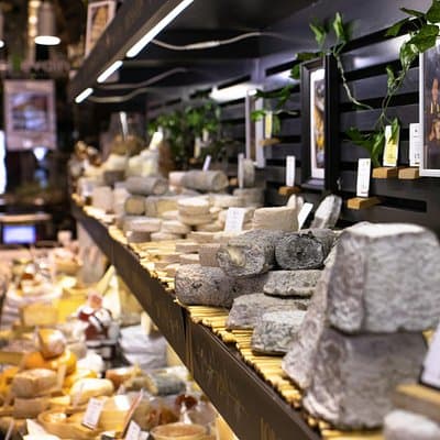 Full day Bordeaux Historic Gourmet Walking and Médoc Tour