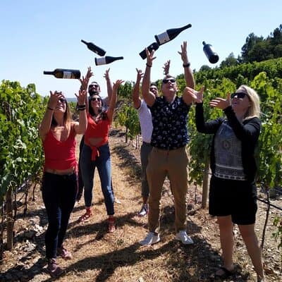 Douro Valley Small-Group Wine Tour with Lunch and River Cruise
