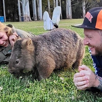 WILD Wombat and Kangaroo Day Tour, All Inclusive