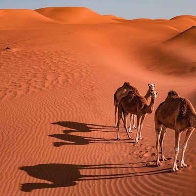 2 Days and 1 Night Private Wahiba Sands Desert with Wadi