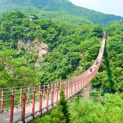 2026 Travelers’ Choice Best of the Best: DMZ Tour from Seoul