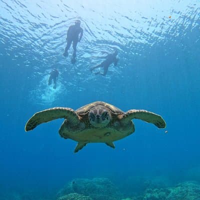 Daymaniyat Islands Snorkeling Sharing Trip