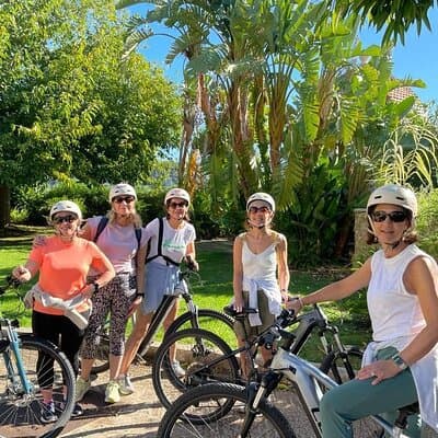 Eze Electric Bike Tour from Nice