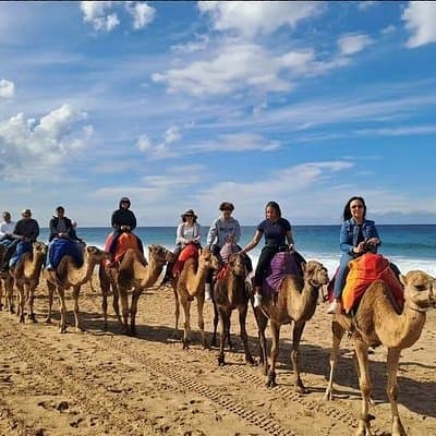 From Tangier: Cap Spartel and Hercules Cave with Camel Ride