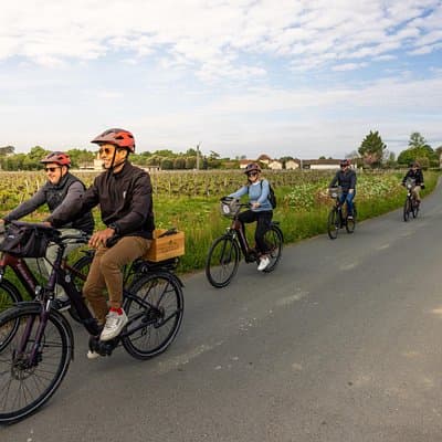 Saint-Emilion E-Bike Wine Tour | Wine & vines & Gourmet Picnic