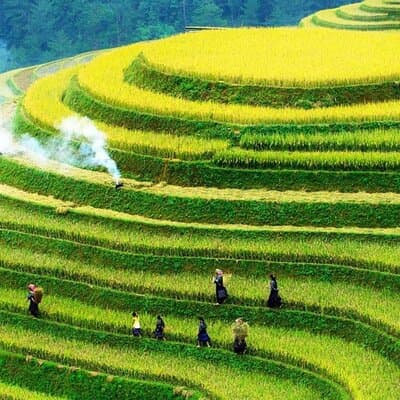 Sapa No-Trek Eco Tour: Muong Hoa Valley & Ta Van, Foot Spa, Cafe