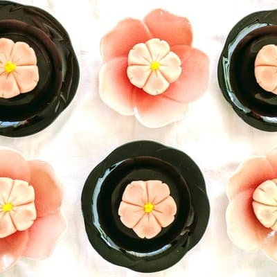 Wagashi traditional japanese sweets class