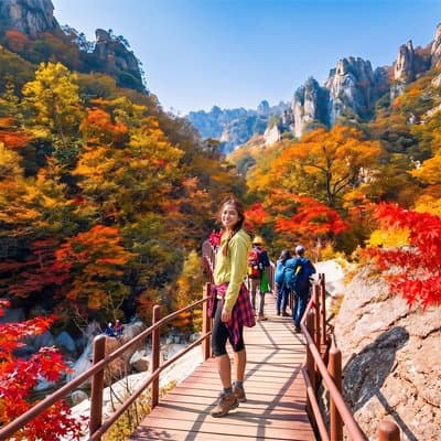 Mt. Seorak+Nami Island+Garden of Morning Calm Day Trip from Seoul