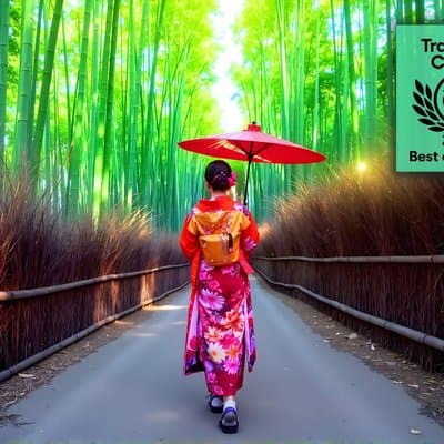 Kyoto Arashiyama Walking Tour: Bamboo, Monkeys, Garden & Secrets