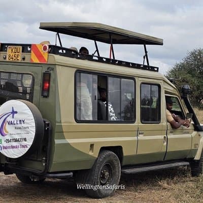 Half Day Guided Tour in Nairobi National Park With 4*4 Vehicle