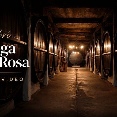 Montevideo Bodega Santa Rosa : tour - Tasting - Lunch