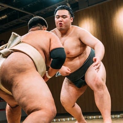 Kyoto Live Sumo Show with Sumo Challenge & Photo Experience
