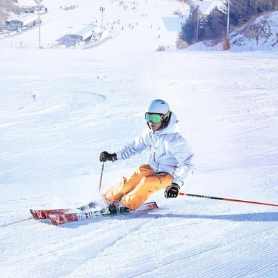 Seoul: Eobi Ice Valley, Elysian Ski Resort, Nami Island Day Trip